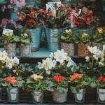 Optimizarea web - SEO local pentru afaceri locale