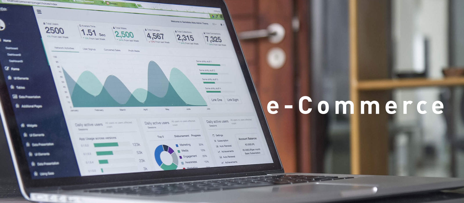 e-Commerce - Strategii si trenduri de viitor
